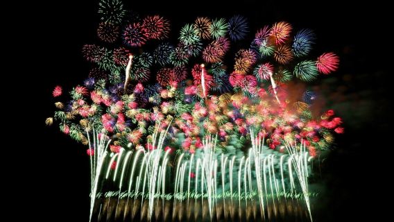 1-day tour to the Hitachi Kinu River fireworks and Ami Premium Outlets in Japan: All-you-can-pick pears at the farm