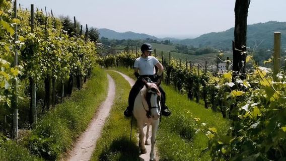 Valdobbiadene: Prosecco Hills Horseback Riding Tour