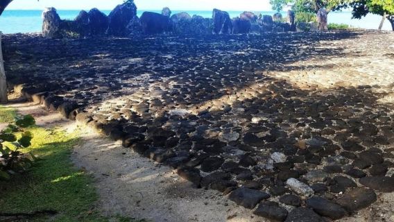 Raiatea: 4x4 Island Tour with Pearl Farm & Marae Visit