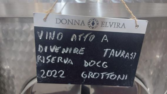From Salerno: Irpinia Wine Tour Half-Day Trip