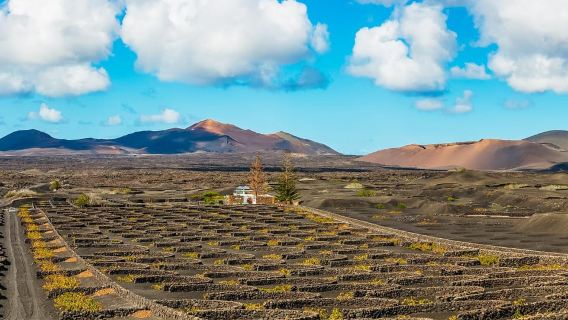 Arrecife: Timanfaya and Green Lagoon for Cruise Passengers