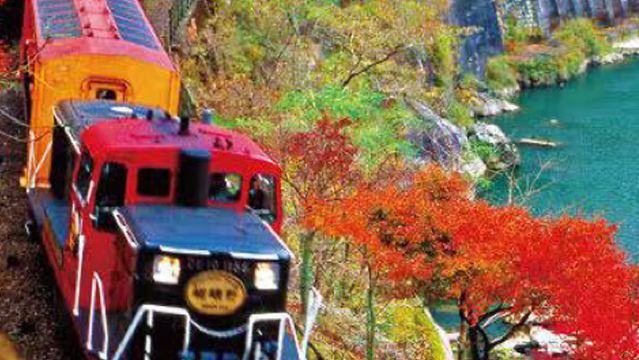 日本京都嵐山嵯峨野 保津川漂流 一天