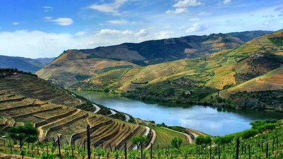 Vila Nova de GaiaTours