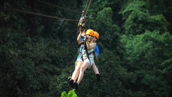 Tree Bridge Zipline Adventure and Café Escape from Koh Samui