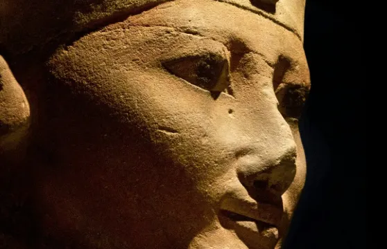 埃及博物館：免排隊門票 + 導賞團