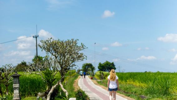 Tagesausflug Jatiluwih Reisterrassen Wanderung mit Transfer & Mittagessen in Bali|Indonesien