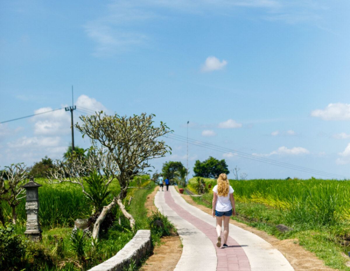 Tagesausflug Jatiluwih Reisterrassen Wanderung mit Transfer & Mittagessen in Bali|Indonesien