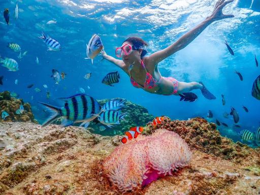【秘境尋尼莫】閣沙邁珊島/尼莫島浮潛一日遊 | 贈水下&無人機攝影 | 曼谷/芭堤雅接送 | 海景午餐