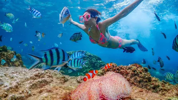 Thailand Pattaya Seven Treasures Buddha Mountain + Ko Samai San Island Experience diving and Snorkeling 8 Hours [Nemo Island Snorkeling shared tour one-day tour|Bangkok/Pattaya hotel pickup|Chinese/English guide]