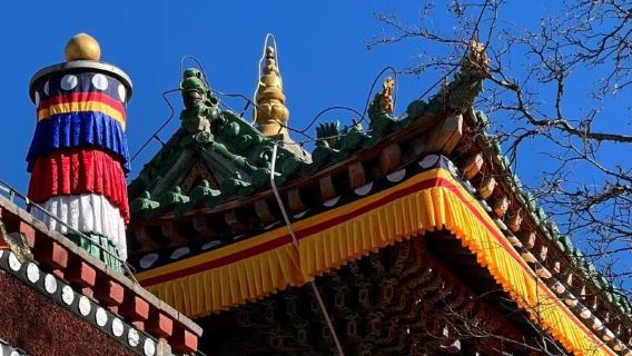 拉脊山+塔爾寺半日遊【包車團】