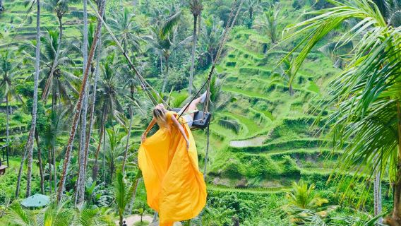 Temui yang Terbaik di Ubud Semua Termasuk: Air Terjun, Kuil, Teres Sawah Berayun dan Lain-lain