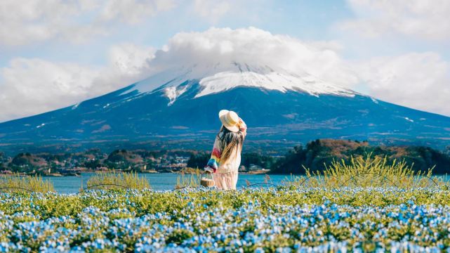 Mount Fuji Scenic Highlights Day Tour