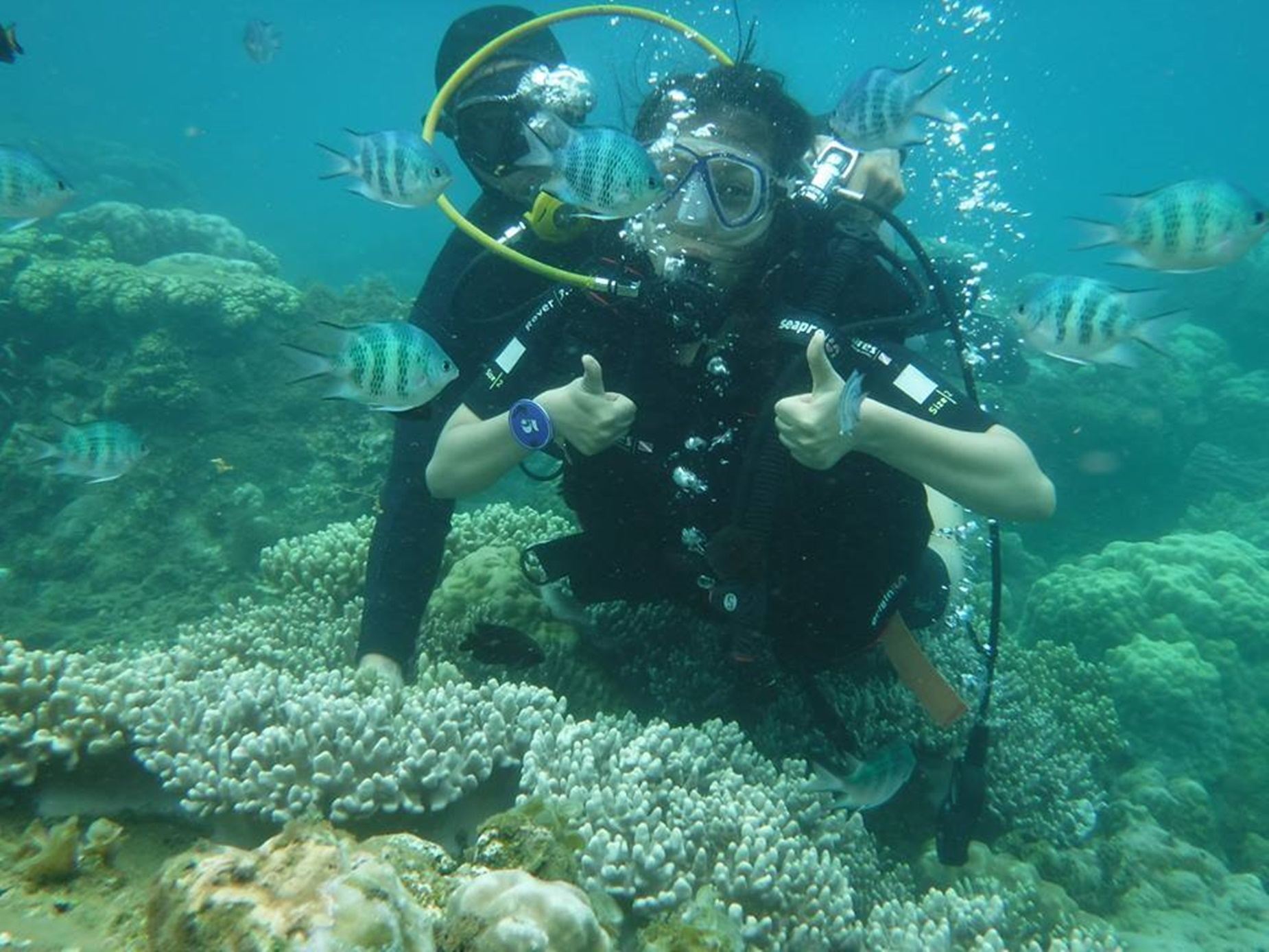 Private Nha Trang Snorkeling Day Trip (One Island - Mini Island - Hon Tre)