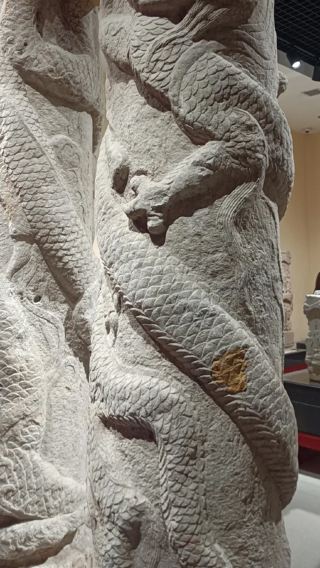 芳華說臨沂博物館講解半日遊【精講1小時】