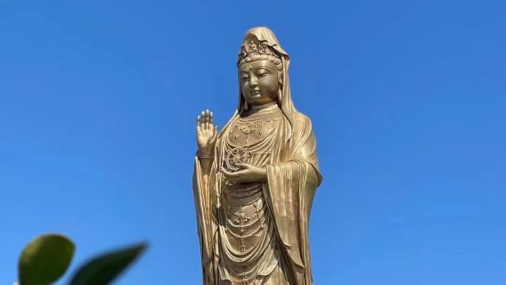 普陀山風景區一日遊 【純玩祈福許願還願之旅】