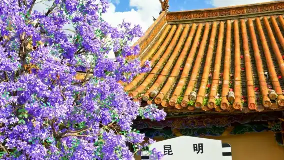 Kunming Old Town, Nanping Pedestrian Street and City Private Tour