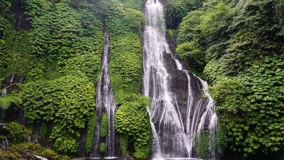 I migliori delle cascate di Bali: Banyumala e Aling-Aling