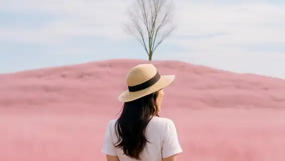 Autumn Special: Jinju Namgang Lantern Festival & Pink Muhly Grass Field Tour (Depart from Busan)