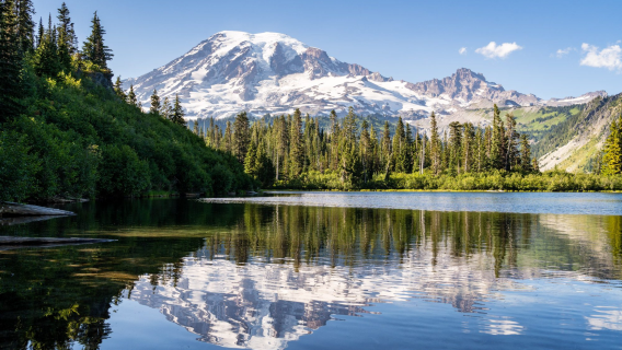 Seattle day tour: Mount Rainier National Park + aquarium + Space Needle + Scavenger Square