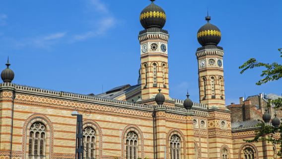 Dohány Street Synagogue: Fast Track Ticket