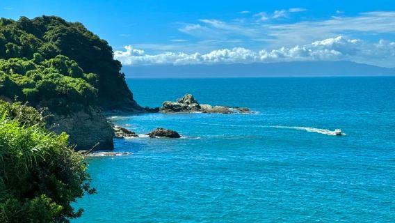 日本大阪市區包車一日遊-可多地來回【輕鬆暢遊中文服務】