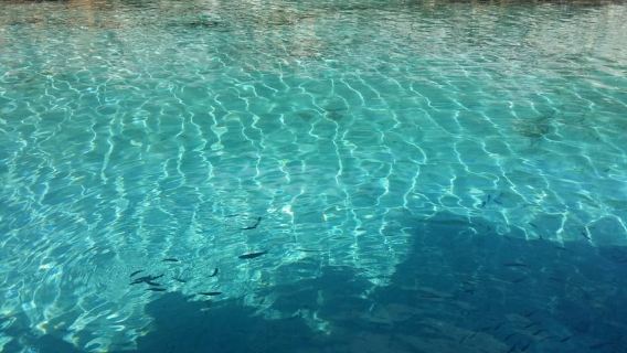 Bodrum: Full day Boat Trip to the Turkish Maledives