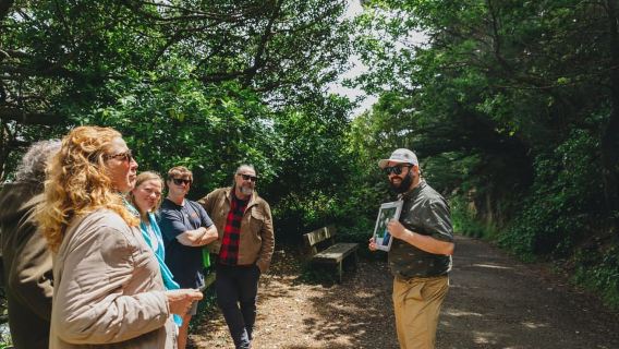 Wellington: esperienza originale di mezza giornata sul Signore degli Anelli con Weta