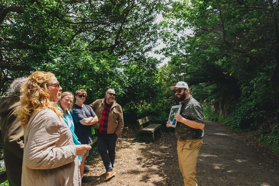 Wellington: Original LOTR Half-Day Experience with Weta
