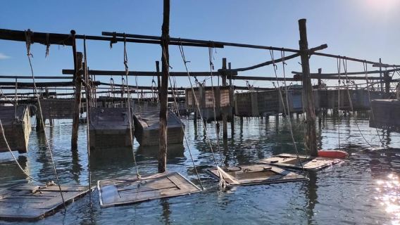 Chioggia: discover aquaculture techniques in a typical boat