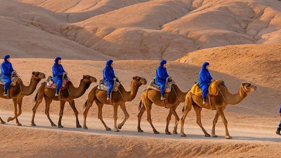 Ab Marrakesch: Agafay Sunset Camel Tour mit Abendessen & Show