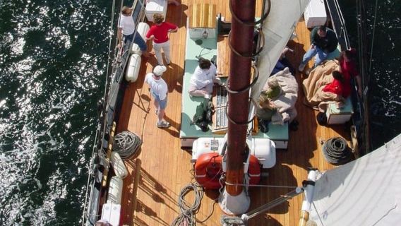 Paseo en barco Appledore Star Champagne Sunset de Key West