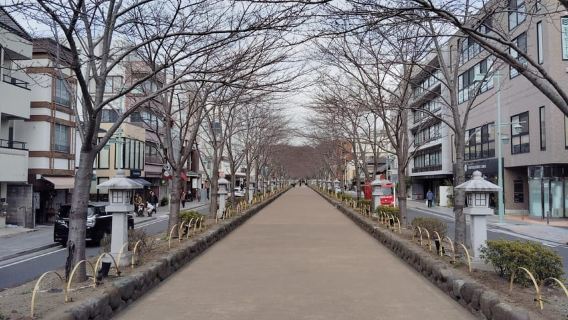 Kamakura: Tsurugaoka Hachimangu & Komachi Street Tour