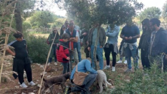 Workshop botanico e degustazione di amari Nepeta in Val di Noto