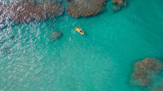 Maro Beach: Kayak rental by NT
