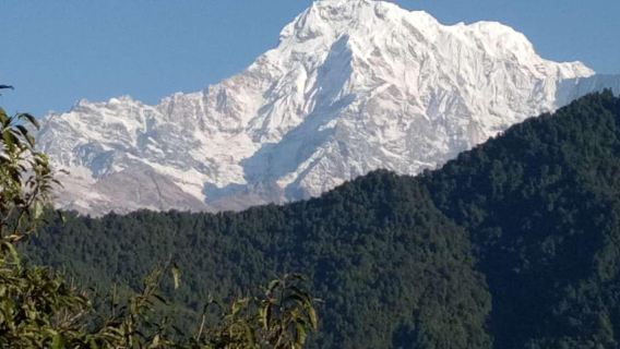 Pokhara: Đi bộ đường dài trong ngày đến Trại căn cứ Úc kèm bữa trưa