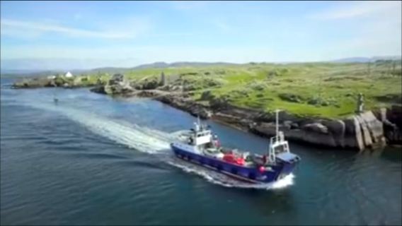 Burtonport: crociera in traghetto per l'isola di Arranmore