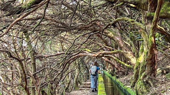 Kumpulan Kecil Berjalan Rabaçal 25 Fontes