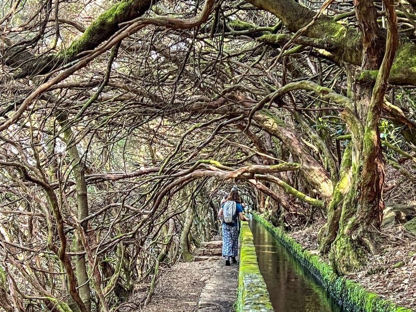Small Group Walks Rabaçal 25 Fontes