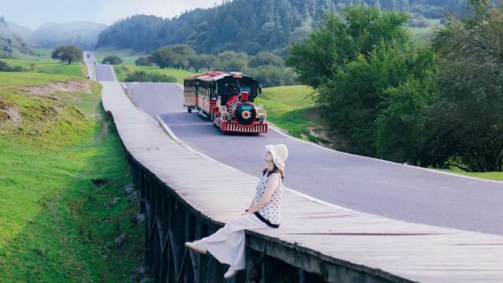 重慶-武隆日帰りツアー【往復交通+仙女山入場チケット+天生三橋入場チケット+乗り換え料金+ガイド+昼食付き】