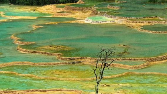 Bas ulang-alik Jiuzhaigou-Huanglong Scenic Area-Stesen Kereta Api Berkelajuan Tinggi Huanglong Jiuzhaigou 'termasuk tiket masuk kawasan pemandangan Huanglong' pelbagai pilihan bas mewah & bas ekspres selesa