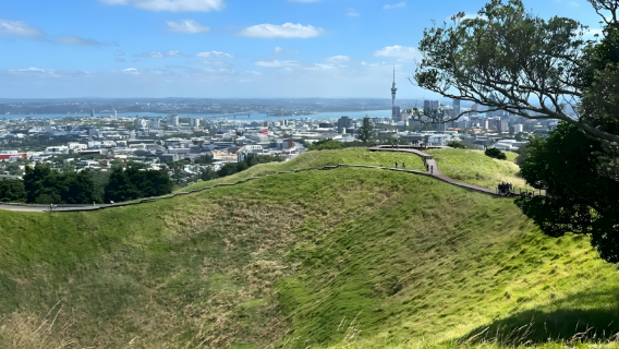 紐西蘭奧克蘭中央公園+天空塔+伊甸山一日遊【奧克蘭機場接駁】