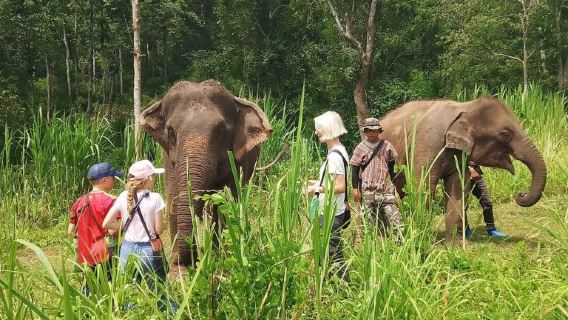 Chiang Mai Karen Elephant Serenity – Walk with Elephants & Bamboo Rafting Day Tour