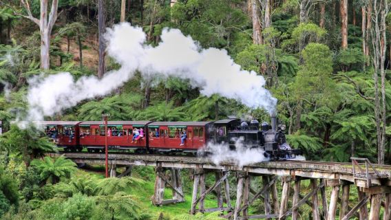 Phillip Island Penguin Parade + Puffing Billy Railway 1-day tour with city transfers