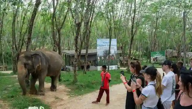 小團遊覽考拉克大象保護區