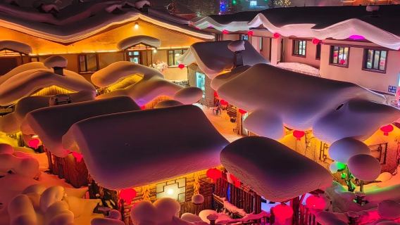 【雪鄉1日包車】亞布力滑雪+純玩無購物|車型任選+定制行程