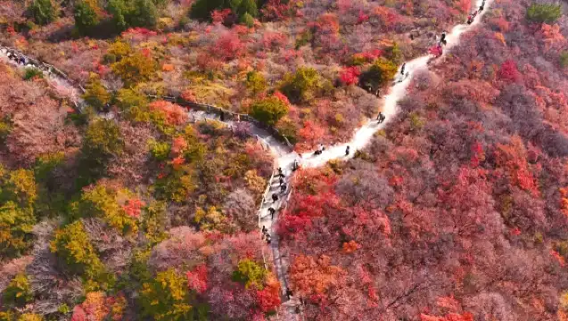 金海湖環湖休閒徒步一日遊