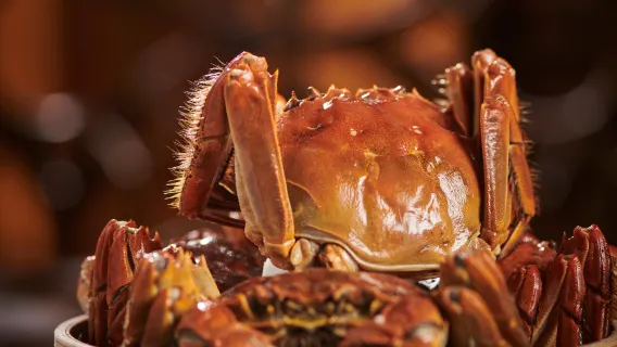 JW Marriott Hotel Shenzhen (almuerzo buffet/cena buffet)