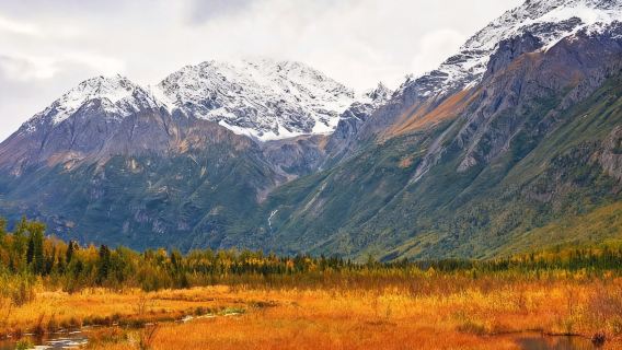 美國阿拉斯加安克雷奇鷹河自然中心+埃克盧特納湖+植物園日遊