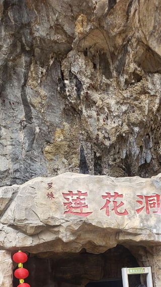 広西百色の羅妹蓮花洞+大石囲天坑群景区+浩坤湖ワンデーツアー（日本語・英語サービス対応）