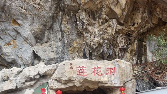 廣西百色羅妹蓮花洞+大石圍天坑群+浩坤湖一日遊可英文服務